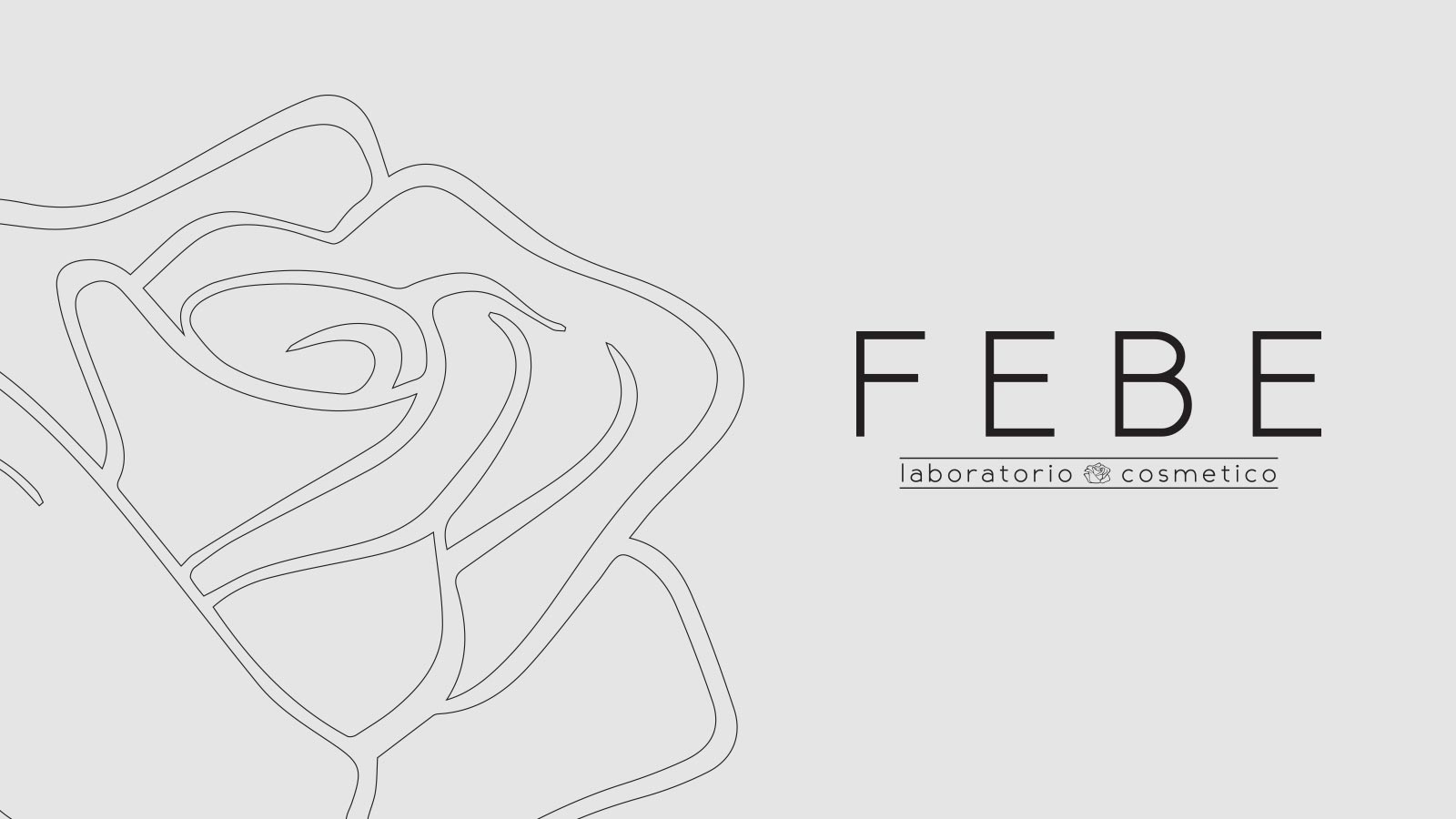 Creazione logo FEBE